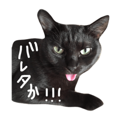 [LINEスタンプ] ねこちゃんまんたろう