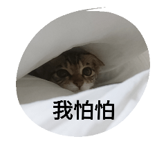 [LINEスタンプ] three small pussy