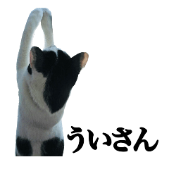 [LINEスタンプ] うい さん