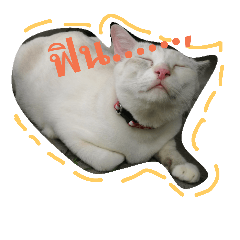 [LINEスタンプ] banneemeemeawの画像（メイン）