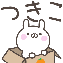 [LINEスタンプ] ☆★つきこ★☆ベーシックパックの画像（メイン）