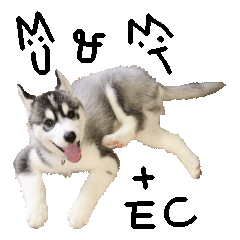 MU＆MT+EC