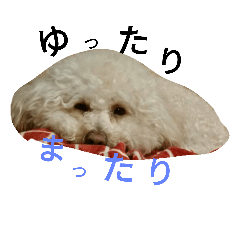 [LINEスタンプ] こたろうとレオン