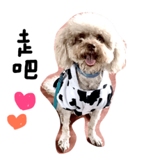 [LINEスタンプ] Duby puppy