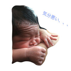 [LINEスタンプ] 我が家のはる君