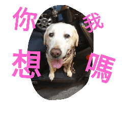 [LINEスタンプ] Q   dog