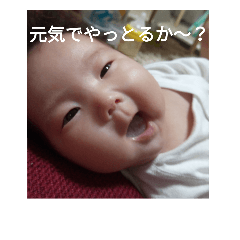 [LINEスタンプ] ぽこちゃん♪