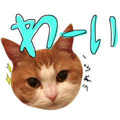 [LINEスタンプ] 楽しげなたまみ