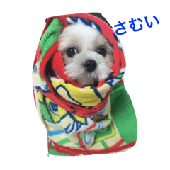 [LINEスタンプ] ケンの日常