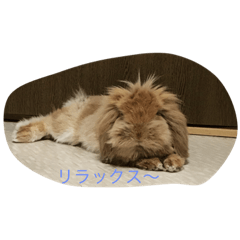 [LINEスタンプ] とんすけとんすけ