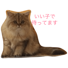 [LINEスタンプ] うらんスタンプ