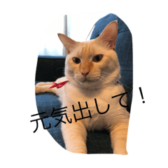 [LINEスタンプ] 二二二二二二二の画像（メイン）