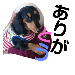 [LINEスタンプ] love p-suke3