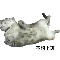 [LINEスタンプ] Jump Cat.の画像（メイン）