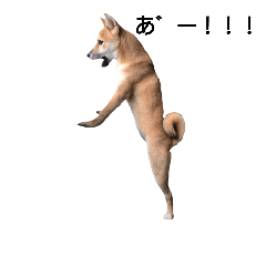 [LINEスタンプ] 柴犬ちはる その2