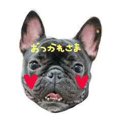 [LINEスタンプ] フレブル・ジャズくんスタンプ②