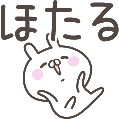 [LINEスタンプ] ☆★ほたる★☆ベーシックパックの画像（メイン）