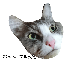 [LINEスタンプ] ねこぼっけ2