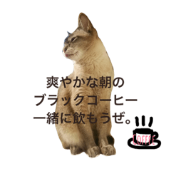 [LINEスタンプ] たいが5