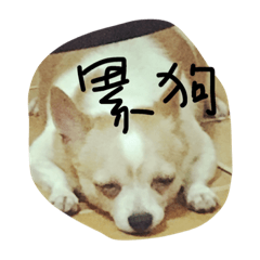 [LINEスタンプ] my alohahaの画像（メイン）