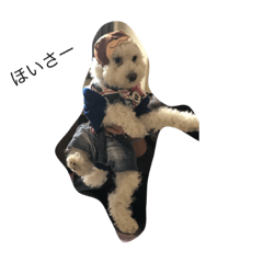 [LINEスタンプ] 犬のあいさつ版