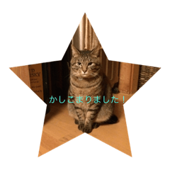 [LINEスタンプ] 兄貴猫さば 仕事版