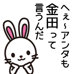 [LINEスタンプ] 金田って謎解き得意？の画像（メイン）