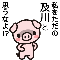 [LINEスタンプ] 及川さんと及川さんの友達専用