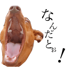 [LINEスタンプ] TARO ＆ KOHARUの画像（メイン）