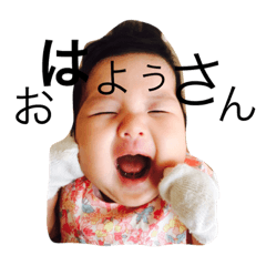 [LINEスタンプ] 亀井家が使うスタンプ