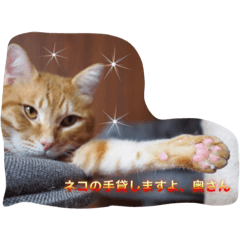 [LINEスタンプ] 猫の手貸します。