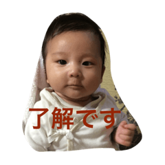 [LINEスタンプ] 工藤家の日常