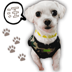 [LINEスタンプ] Blankly lovely dog B_BOW
