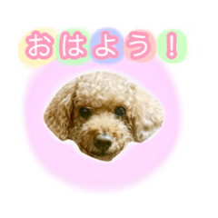 [LINEスタンプ] smile days 1