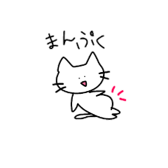 [LINEスタンプ] つぶらな瞳の白ねこさん