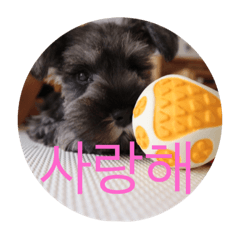 [LINEスタンプ] cute dog minityuasyunauza