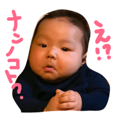 [LINEスタンプ] こうようくんの画像（メイン）