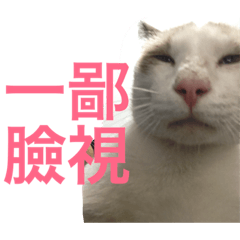 [LINEスタンプ] All are cats
