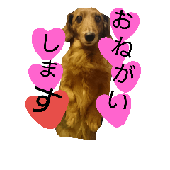 [LINEスタンプ] だいすき洋次郎の画像（メイン）