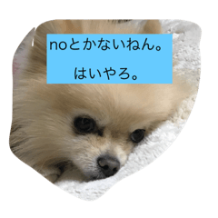 [LINEスタンプ] どSジェン様