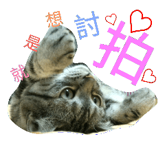 [LINEスタンプ] Mum Mum Boyの画像（メイン）