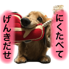 [LINEスタンプ] 愛犬が好きすぎて作ったスタンプ