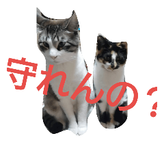 [LINEスタンプ] mamoruyo