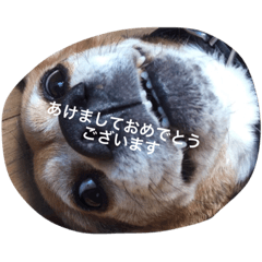 [LINEスタンプ] ぴーすくんの画像（メイン）