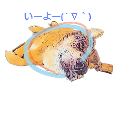 [LINEスタンプ] グータラのんさん