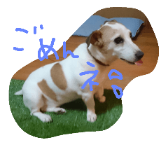 [LINEスタンプ] 我が家の愛犬 ルパンの画像（メイン）