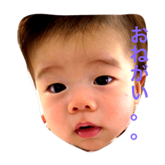 [LINEスタンプ] 可愛いうちの甘えん坊の画像（メイン）