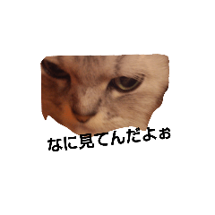 [LINEスタンプ] ユキちゃんたち