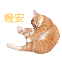 [LINEスタンプ] My name is Louieの画像（メイン）