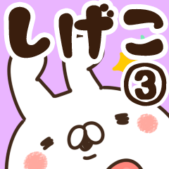 [LINEスタンプ] 【しげこ】専用3の画像（メイン）